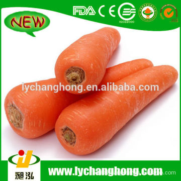 2014 New Crop Shandong Red Carrot